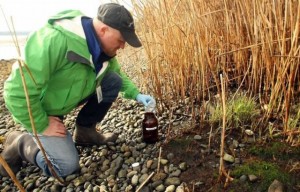 Shawn Ultican, a water-quality investigator with the Kitsap Public Health District in Kitsap, Wash., fills a jar with water along the Illahee shore. Meegan M. Reid, Kitsap Sun