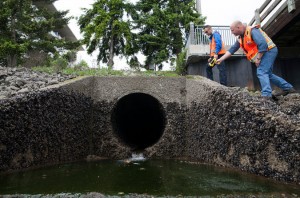 Workers for the Center for Urban Waters examining a storm-water outlet in Tacoma, Wash., as part of pollution monitoring. Credit Matthew Ryan Williams for The New York Times