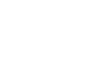 Block W logo