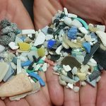 Plastic debris gathered from the ocean. Photo courtesy of NOAA.