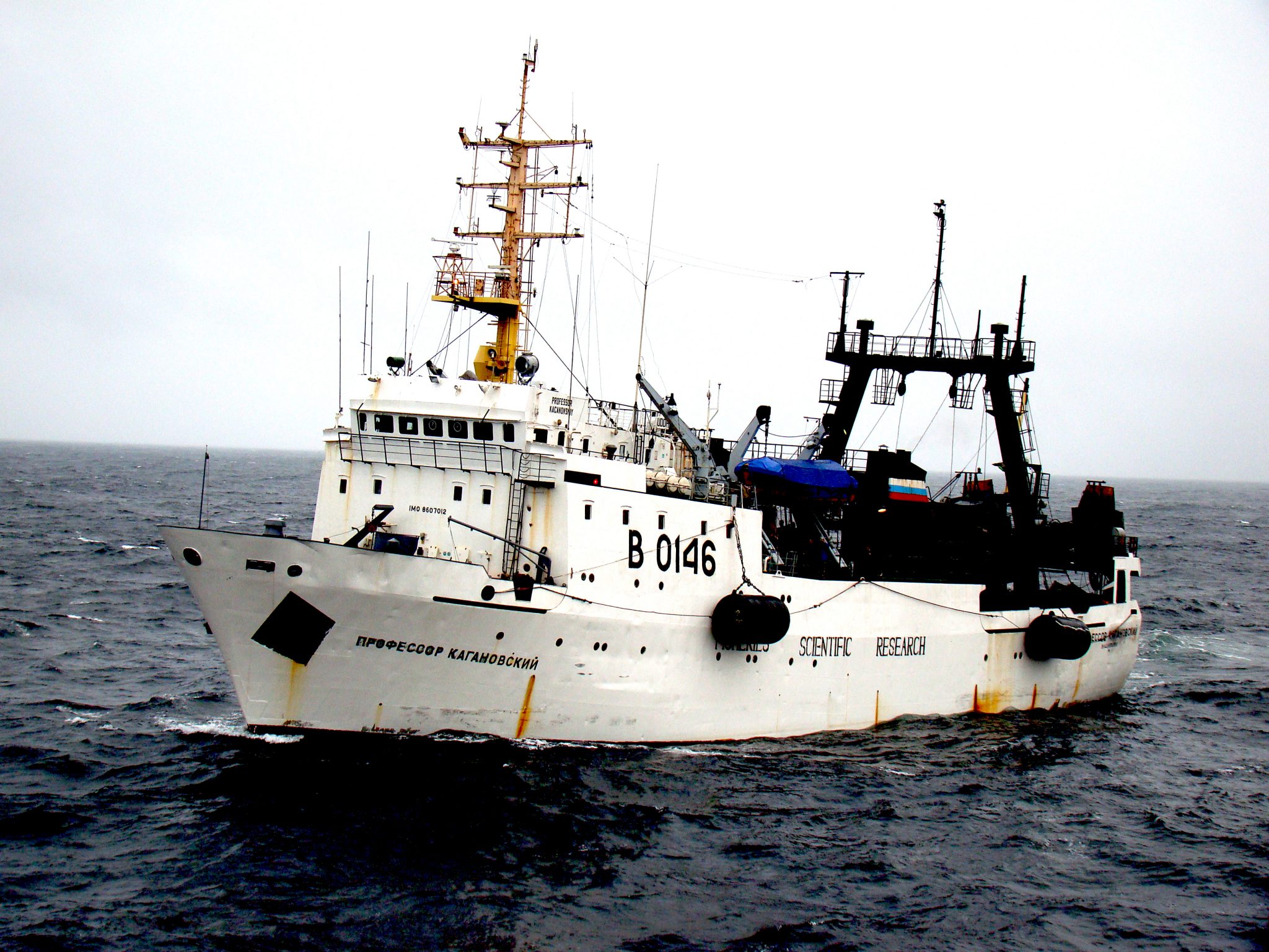 The research vessel Professor Kaganovsky. Photo courtesy of International Year of the Salmon.