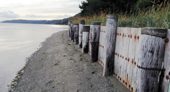 A bulkhead along the shores of Puget Sound. Photo by Christopher Dunagan.