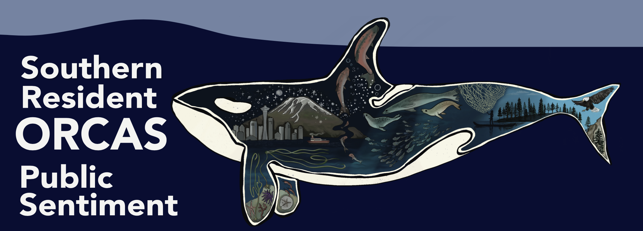 Orca report cover
