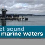 Puget Sound Marine Waters Overview 2020