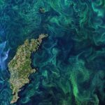 Satellite image of an algae bloom in the Baltic Sea. This image contains data from a satellite in the Copernicus Programme, such as Sentinel-1, Sentinel-2 or Sentinel-3.