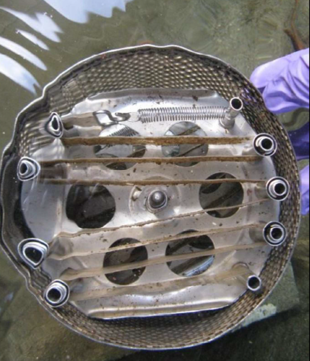 SPMD is a low density polyethylene tube containing high molecular weight lipid (triolein). 