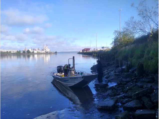 A boat is stopped near the shoreline during water quality monitoring in the Hylebos.