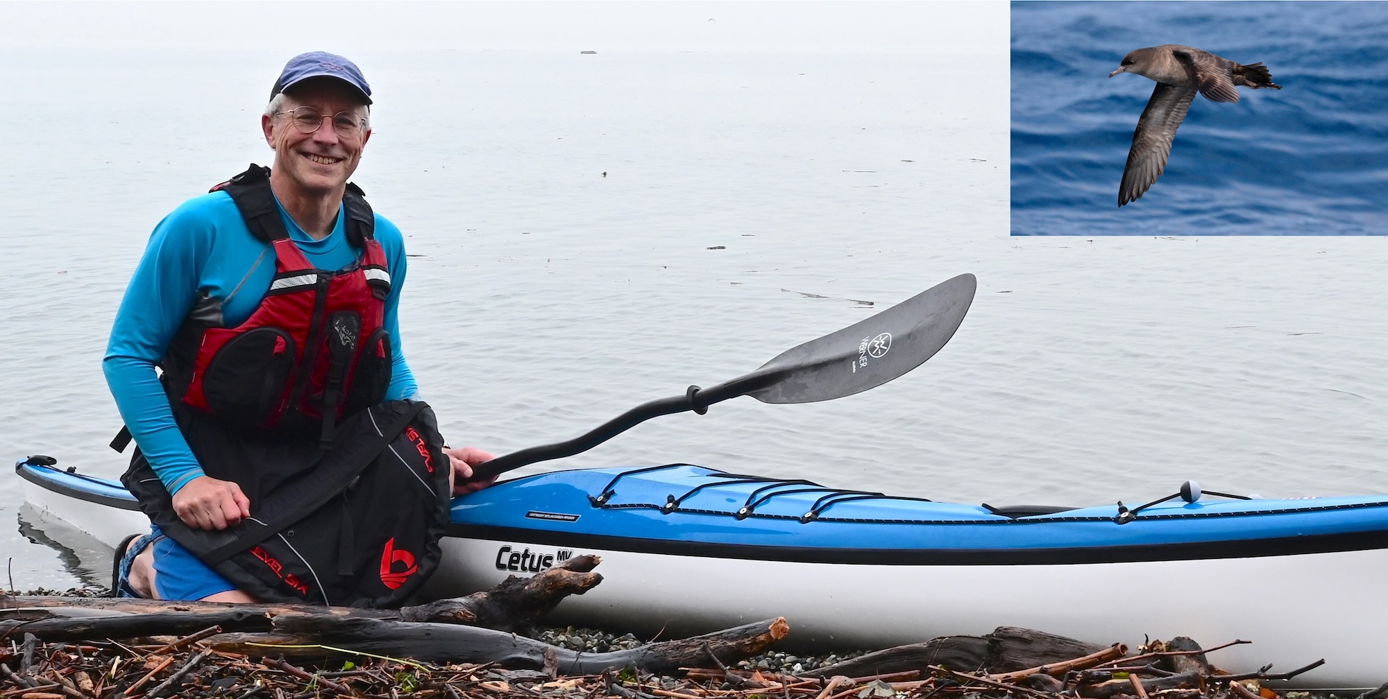 Kayaker on beach with inset photo of seabird in flight over water.