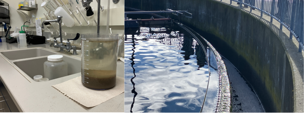 Lab settlometer beaker showing settled solids next to photo of secondary clarifier tank with treated water.