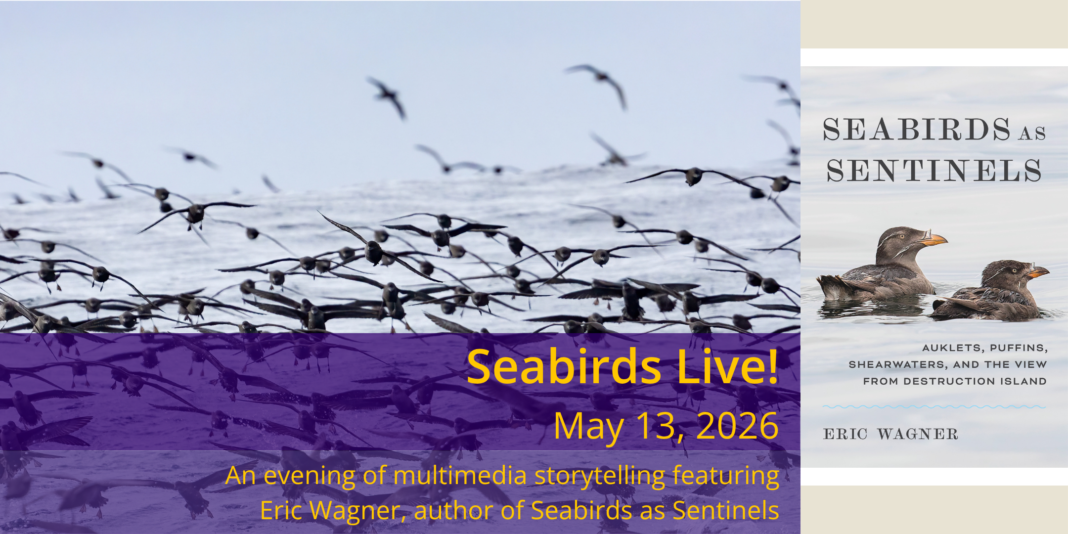 Flying seabirds with book cover inset.