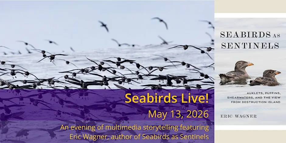 Flying seabirds with book cover inset.