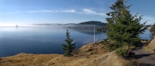 View of still marine water with fog close to shoreline in background