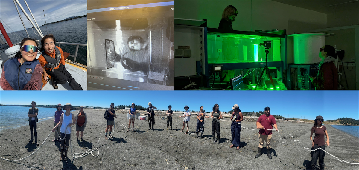 Collage of photos showing students at Friday Harbor Labs.