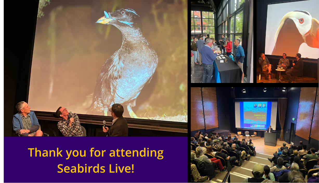 A collage of images from the Seabirds Live! event