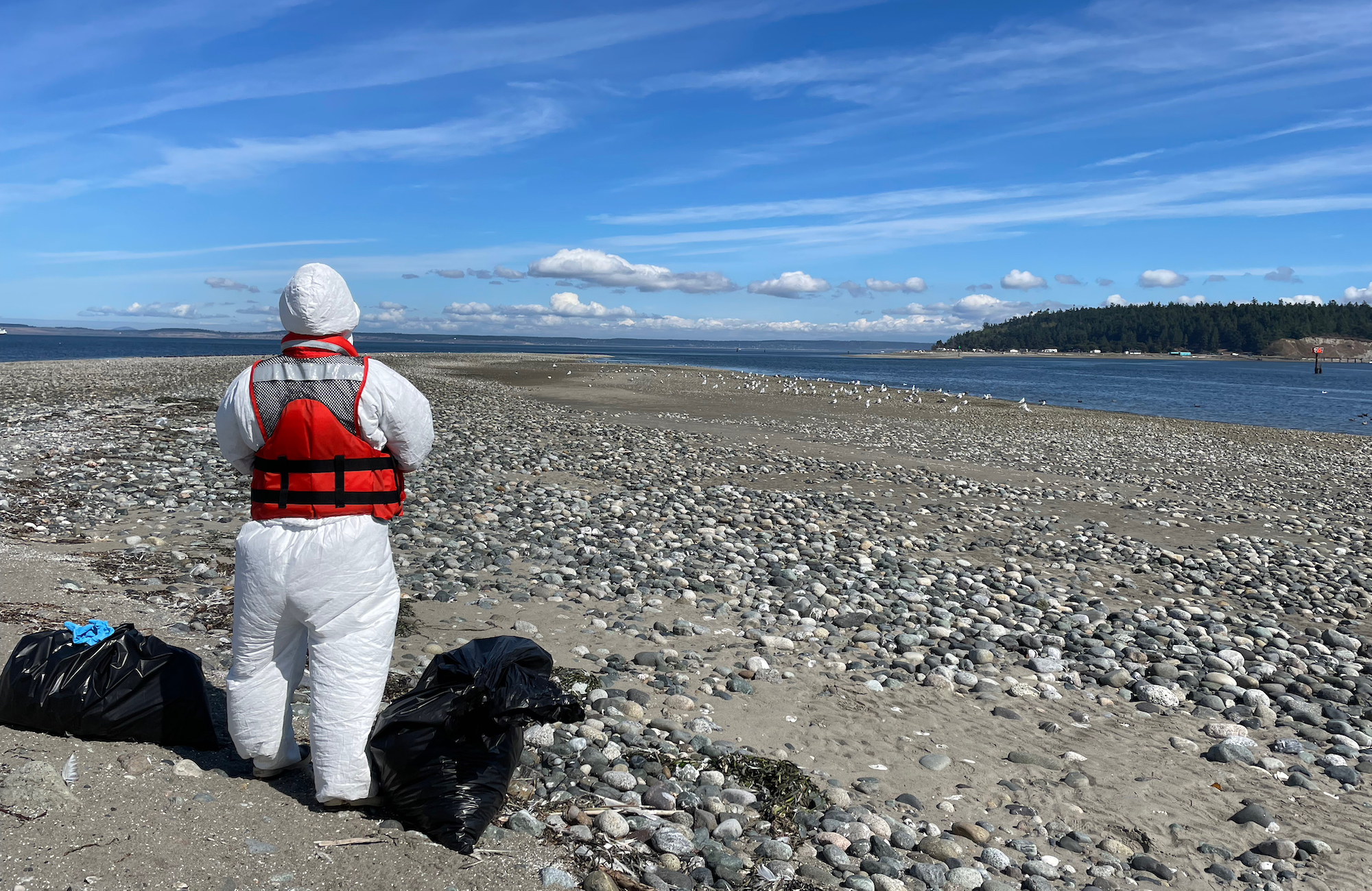 A person wearing a Tyvek suit and orange vest standing on a beach next to two full garbage bags. Water, land, and blue sky in the distance